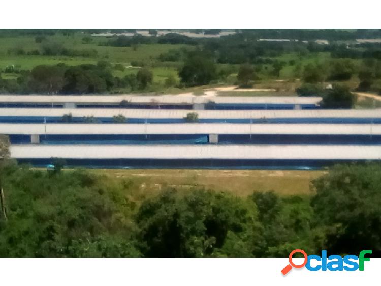 EN VENTA FINCA EN CARRETERA NACIONAL GUIGUE, Edo. Carabobo