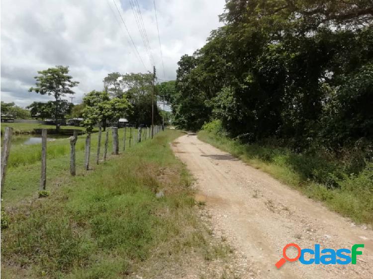 EN VENTA FINCA EN COJEDES a 50Min de San Carlos