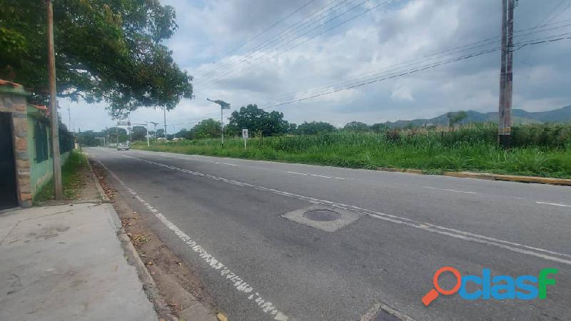 Yosmar Muñoz vende terreno en mañongo FOT 305