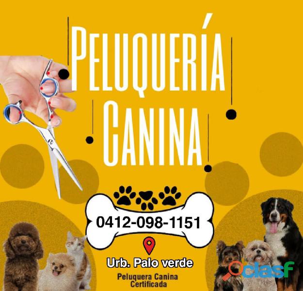 Peluquería Canina