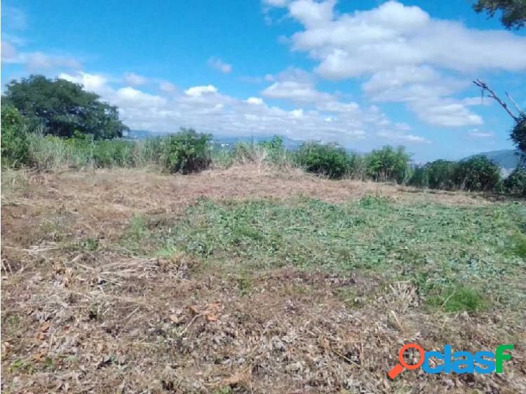 Terreno en Venta sector El Limoncito hacia el este de CCS