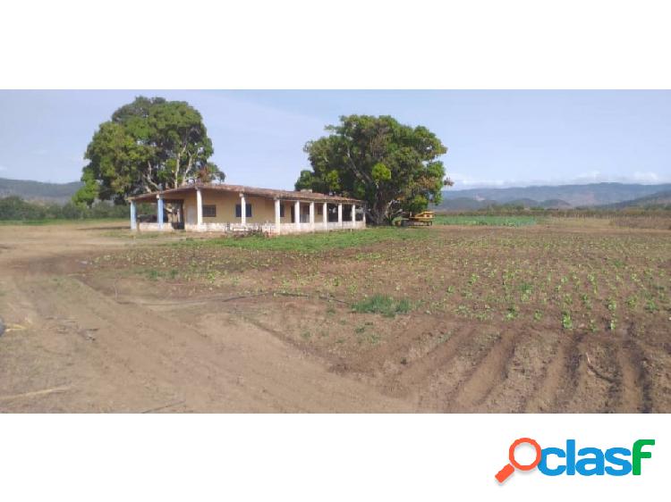 Finca en Venta, a 5 min de Nirgua Edo Yaracuy