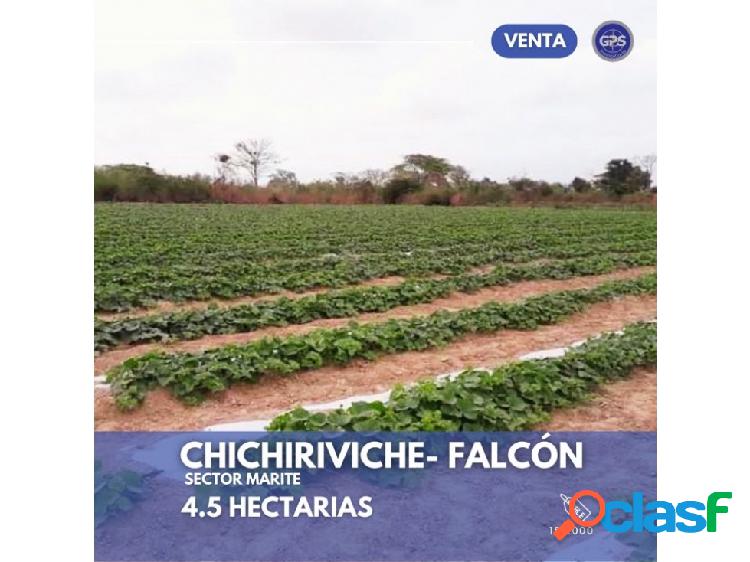 4,5 Hectarias de terreno en Chichiriviche, Edo Falcón