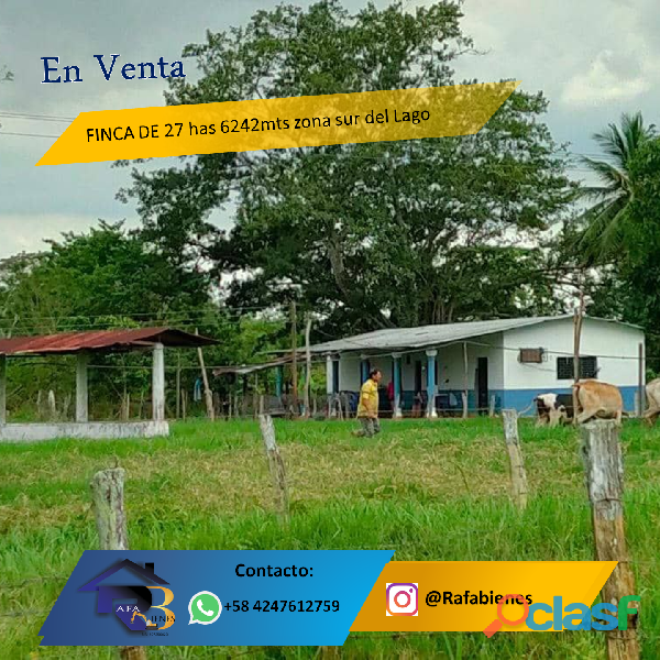 RAFABIENES VENDE FINCA DE 27 HAS EN LA ZONA SUR DEL LAGO