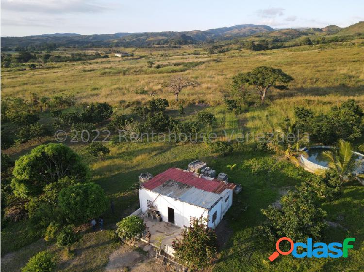 Finca en venta Municipio Peña Yaritagua #23-17577 MV