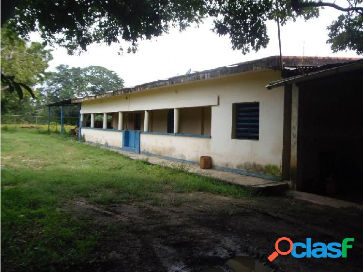 Finca en venta San Felipe Yaracuy #23-14481 MV