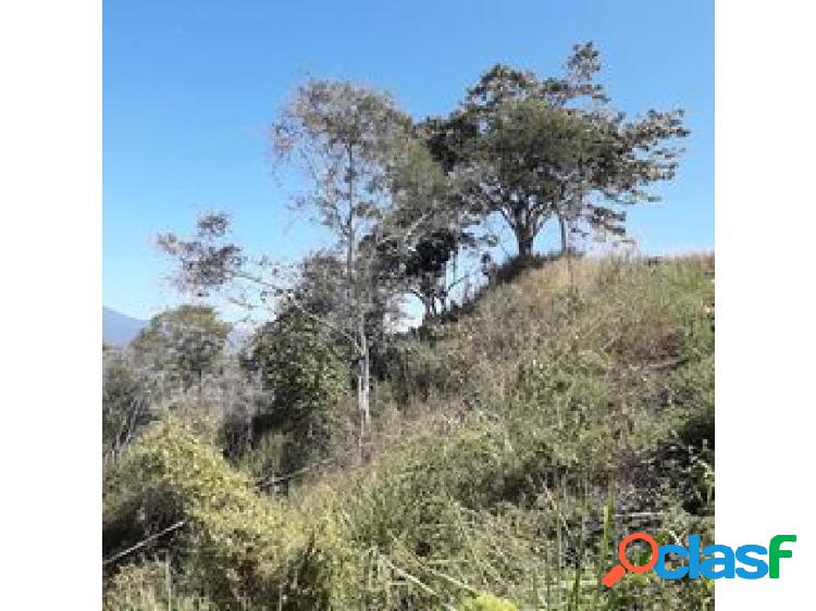 Se Vende terreno 400m2 Caicaguana