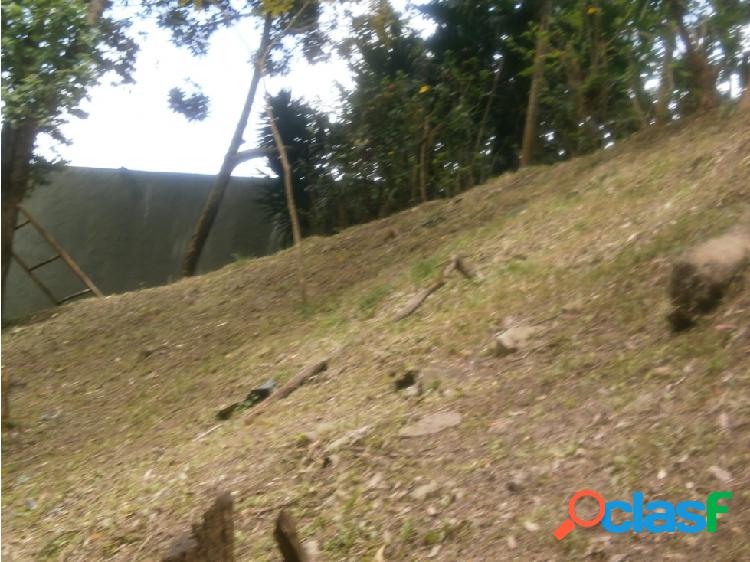 Vendo Terreno 1.000 mt2 Carrizal. Miranda