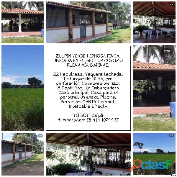 SE VENDE FINCA EN EL SECTOR COROZO BARINAS