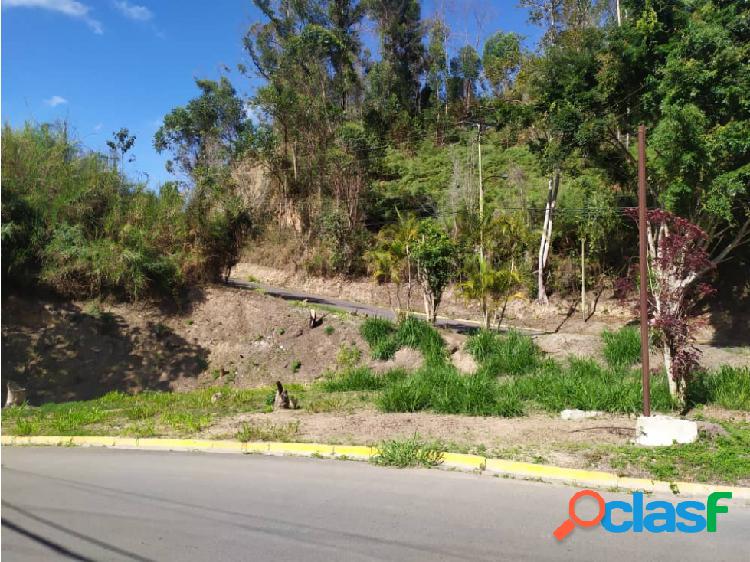 Terrero de 547,06m2 AVP Colinas de Carrizal