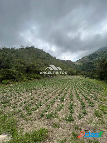 FINCA EN VENTA TRUJILLO API 5525