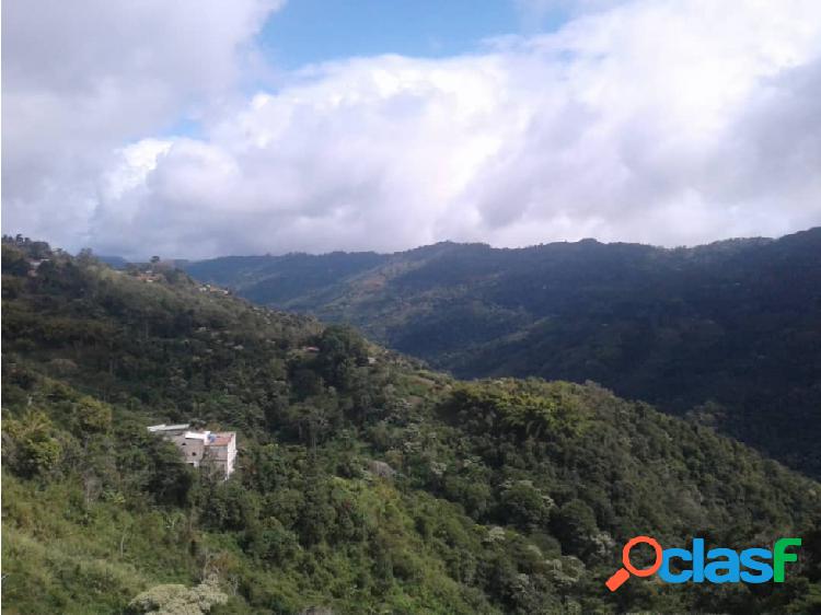 VENTA LOTE DE TERRENO 201.76MTS SECTOR HACIENDA LA MATA EL