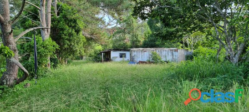 Vendo terreno grande entre Monteclaro y Hoyo de la Puerta