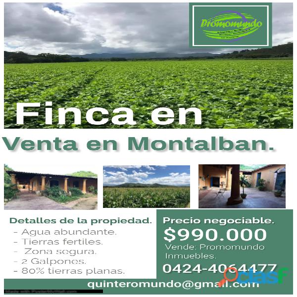 Finca en venta en Montalbán Carabobo de 240 Hectáreas