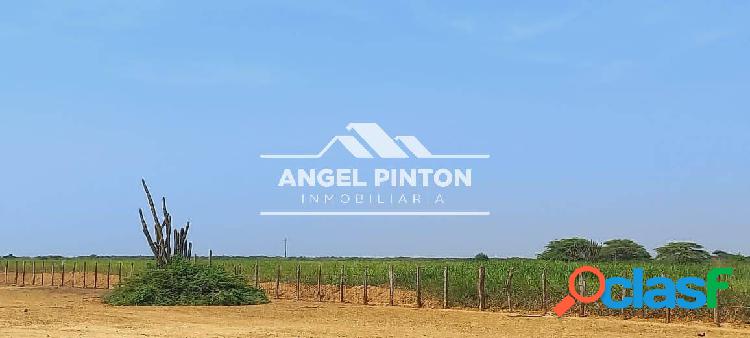 FINCA VENTA MENE MAUROA EDO FALCON API 0109