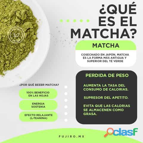 sencha Everyday matcha Vegano 100% organico