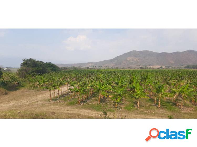 Finca en Venta Montalbán sector Agua de Obispo CB-7431127