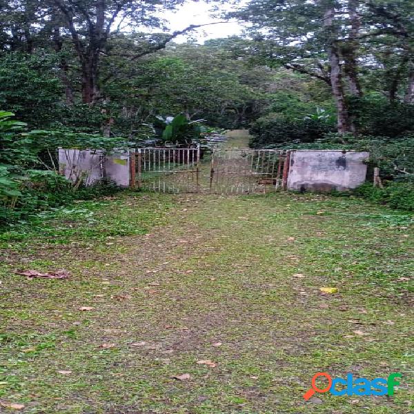 Hacienda La Lucania de 26 HECTAREAS ubicada en CARIPE Edo.