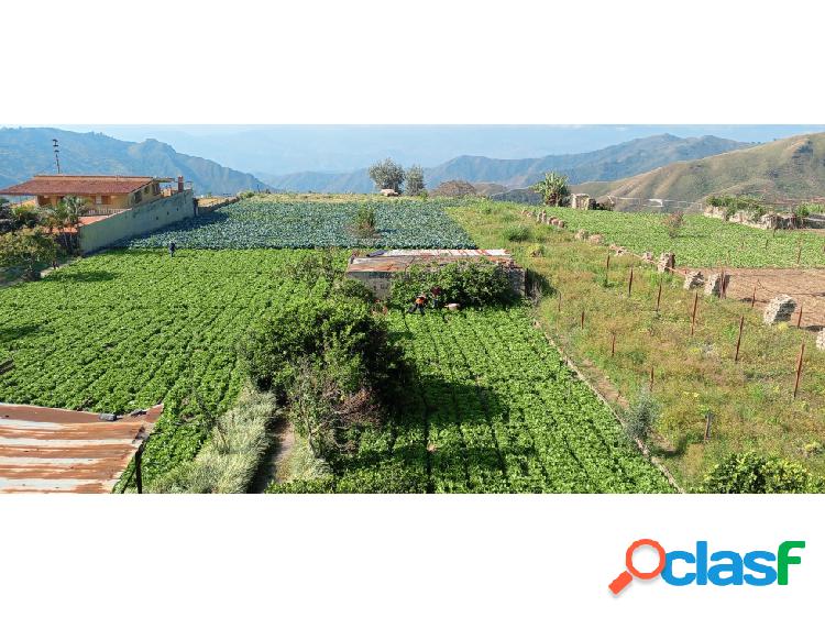 Lote de Terreno para operaciones de carácter agrícola.