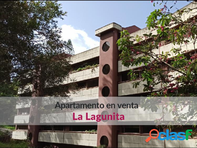 Moderno y actualizado apartamento en venta en La Lagunita