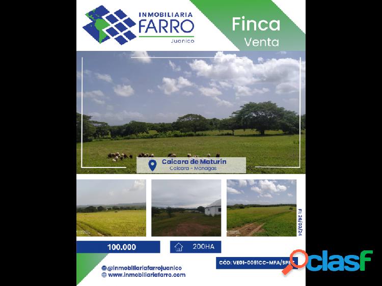 SE VENDE FINCA EN CAICARA DE MATURIN VE01-0091CC-MFAR/SPEC