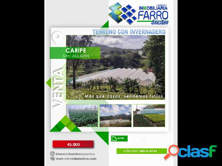 SE VENDE TERRENO CON INVERNADERO CARIPE VE01-1401CA-MFAR