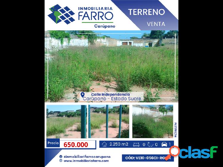 SE VENDE TERRENO EN CALLE INDEPENDENCIA VE10-056CI-RGON