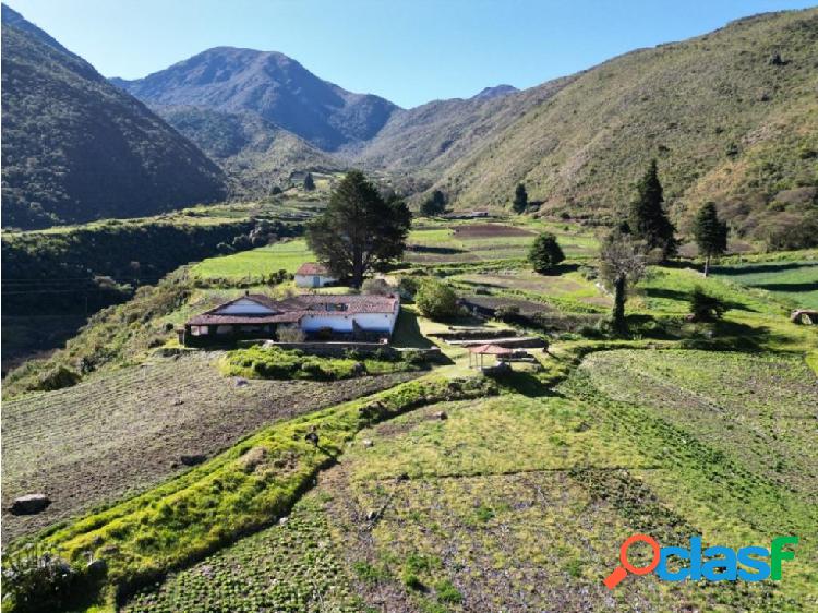 Se vende Finca 261 Hectareas Merida