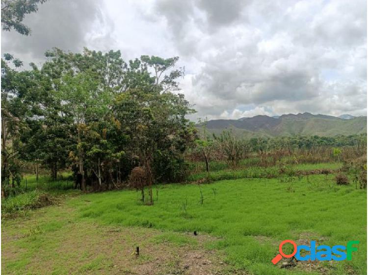 TERRENO EN EL MUNICIPIO PIAR / SCT GUANAGUANA