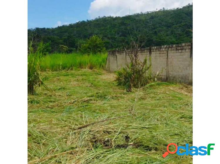 TERRENO EN VENTA EN SAN DIEGO EDO. CARABOBO AG-6994502