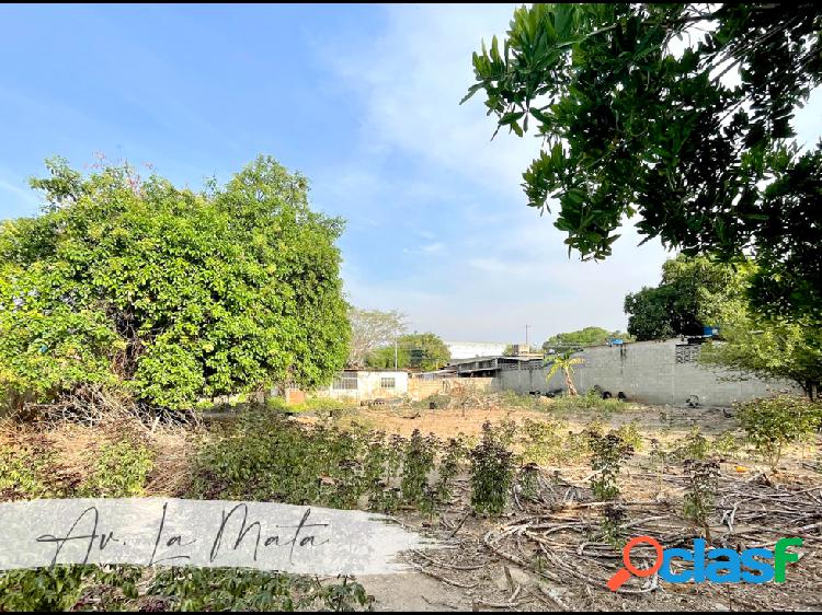 Terreno en Av. La Mata | Cabudare.