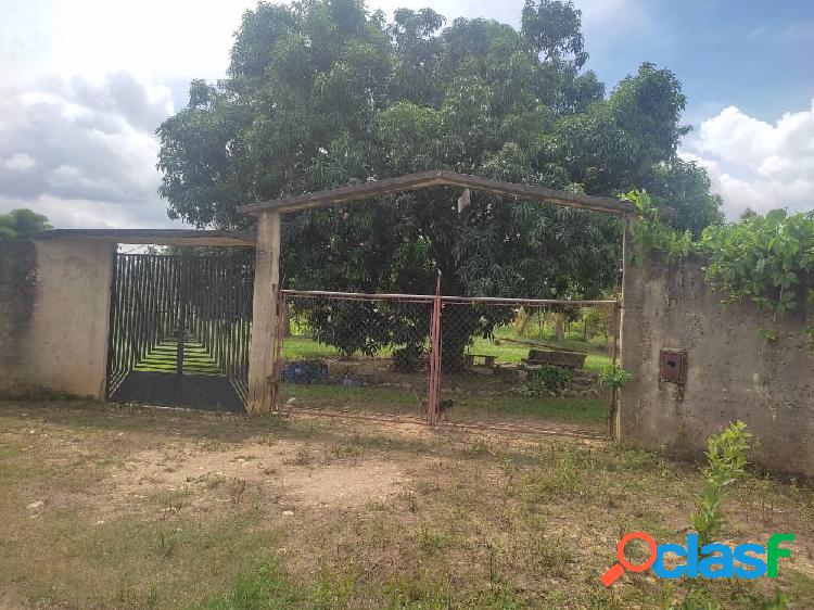 Terreno en Tocuyito. PLT-239