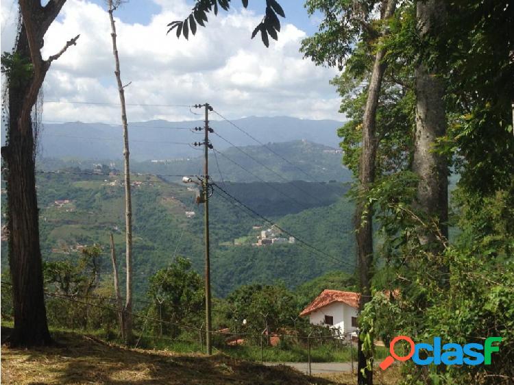 Terreno en Venta en Sabaneta El Hatillo 55.343,89 mts2