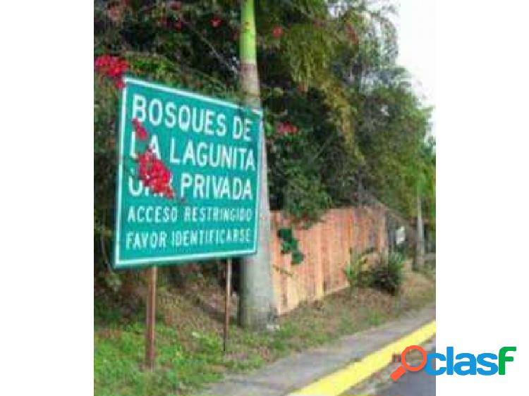 Terrero en Bosque la Lagunita