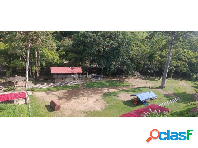 Terreno - Finca - Caballeriza en venta - La Unión