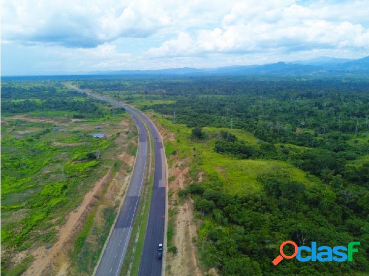 En Venta Terreno de 250 hectáreas en Higuerote. Estado