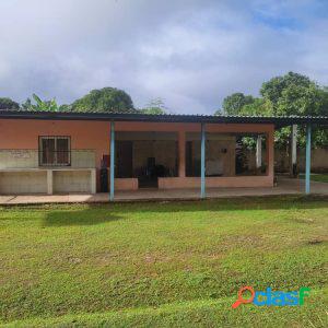 FINCA PARA USO COMERCIAL (ML)