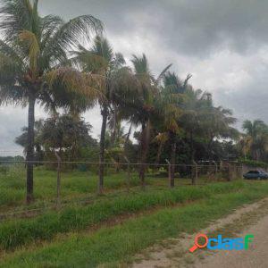 TERRENO EN TOCUYITO (ML)