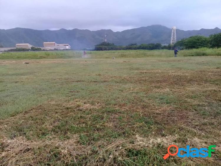 TERRENO EN LOS GUAYOS (PLA-JA)