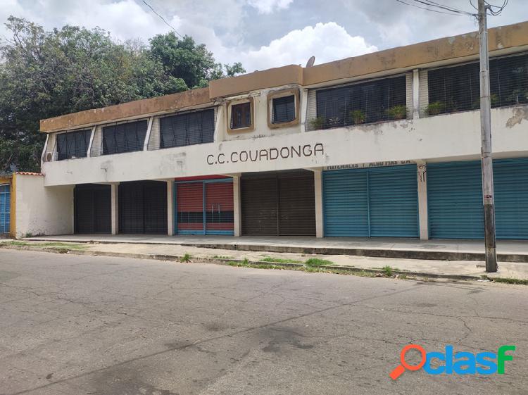 PROPIEDAD DE USO COMERCIAL (AT-AA)